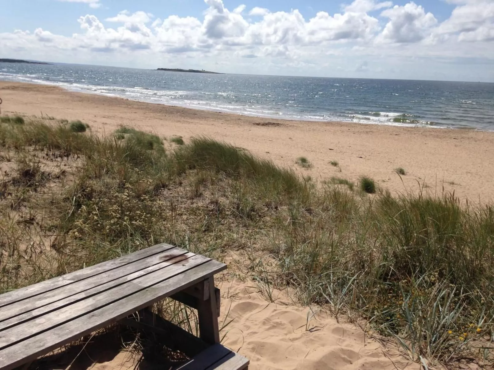 Modernes Haus in der Nähe von Strand und Golf in Halmstad-Draußen