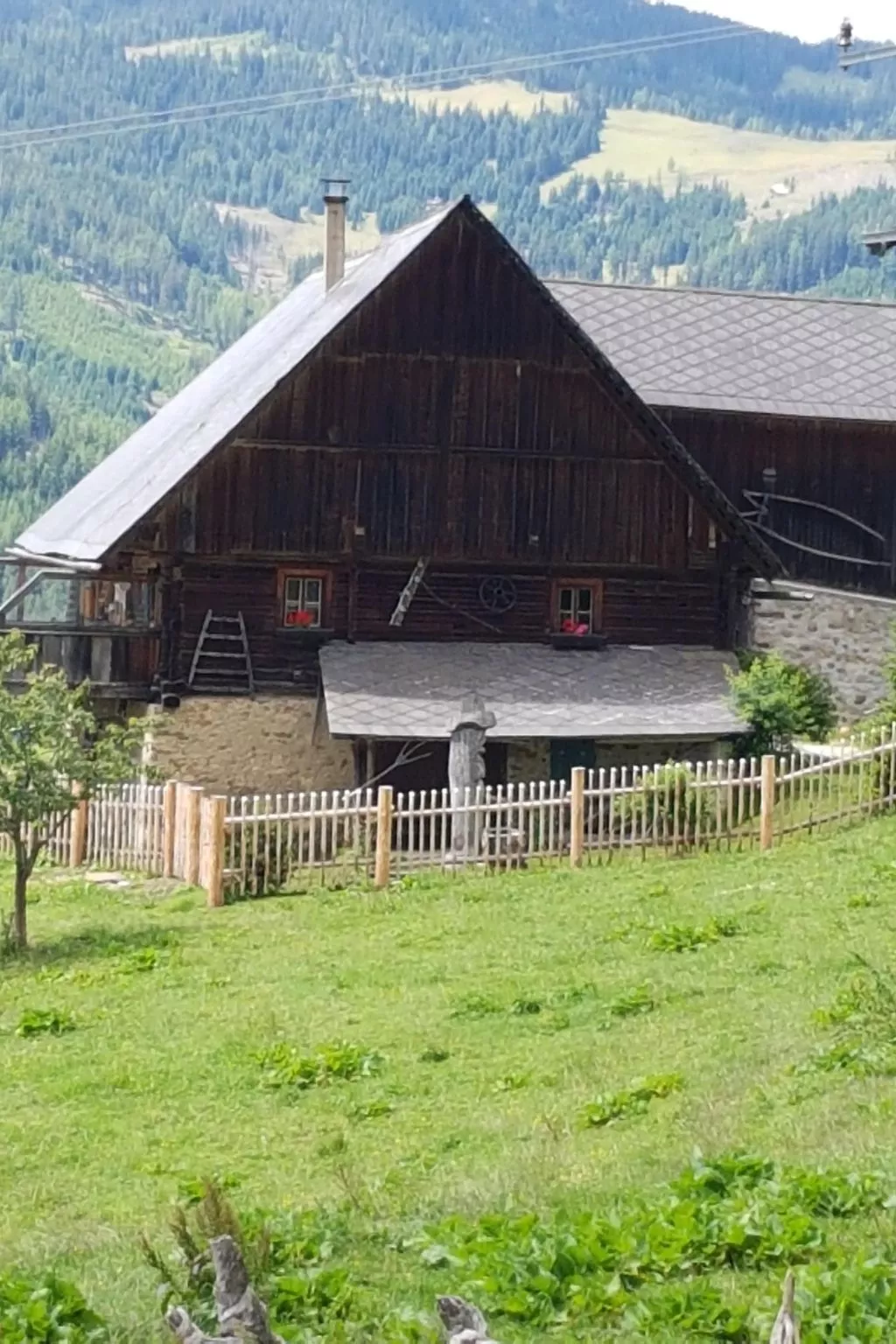 Almhütte Helmut Dischgerbrent in Sankt Margarethen-Outside