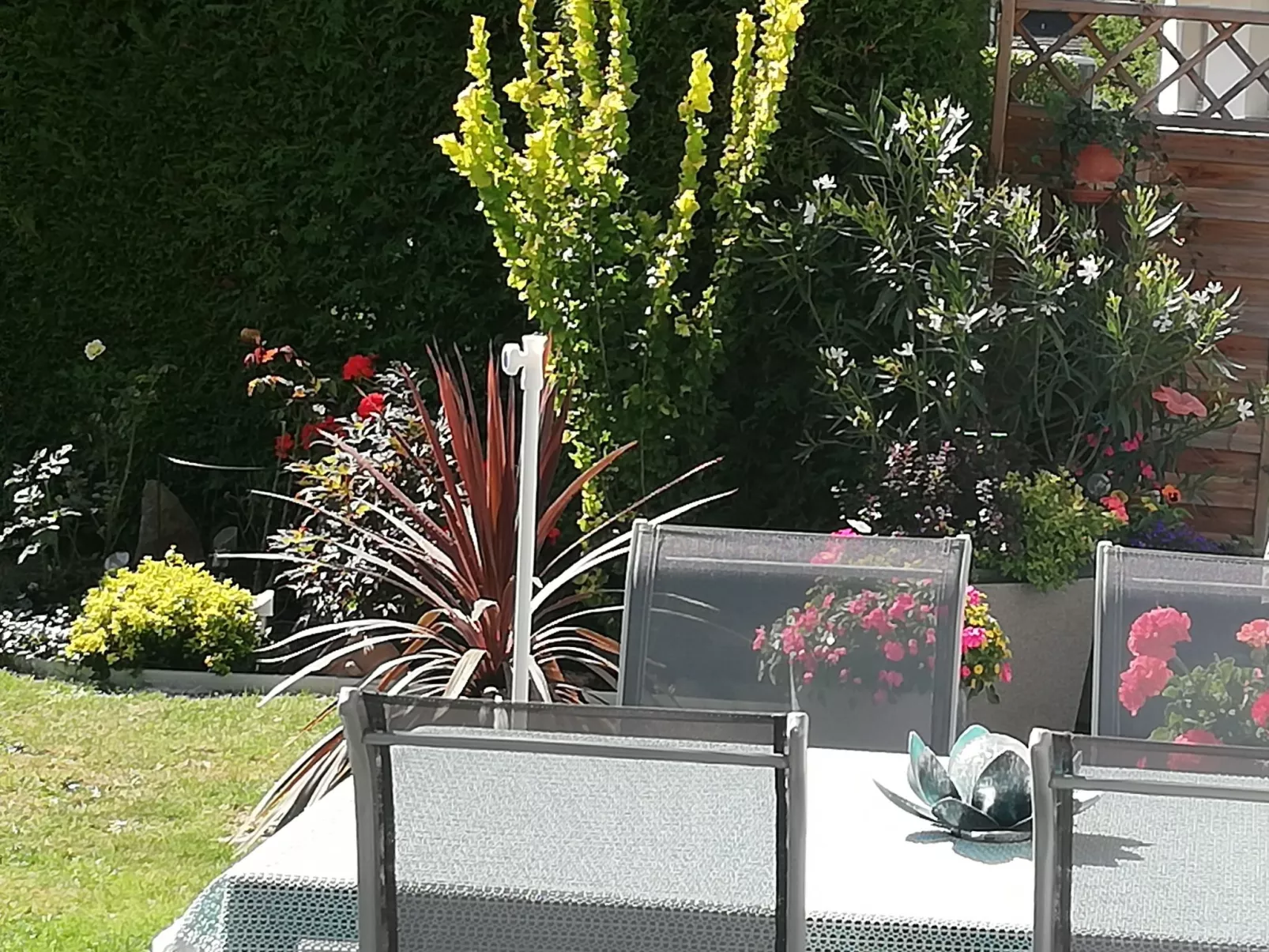 Rosa in Umhausen-Draußen