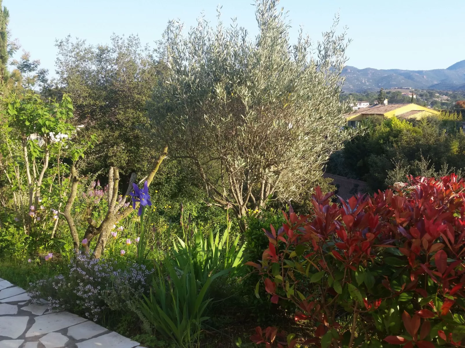 Die Sonne der Côte d'Azur-Draußen