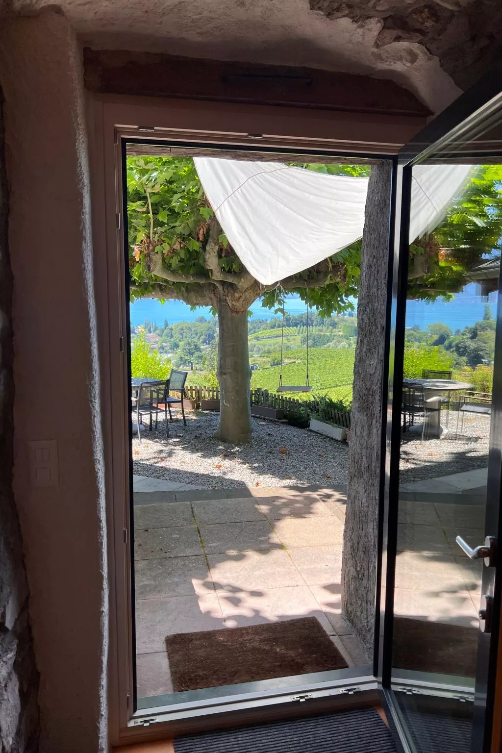 Vigneronne, Vigne-Draußen