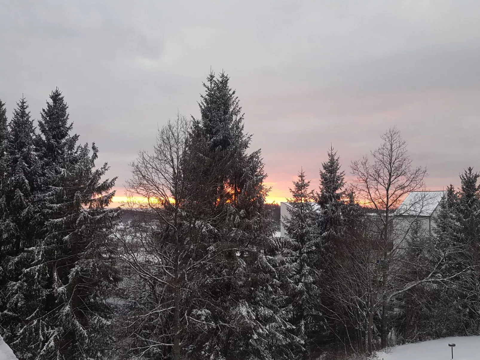 Bayernwald Idyll-Draußen