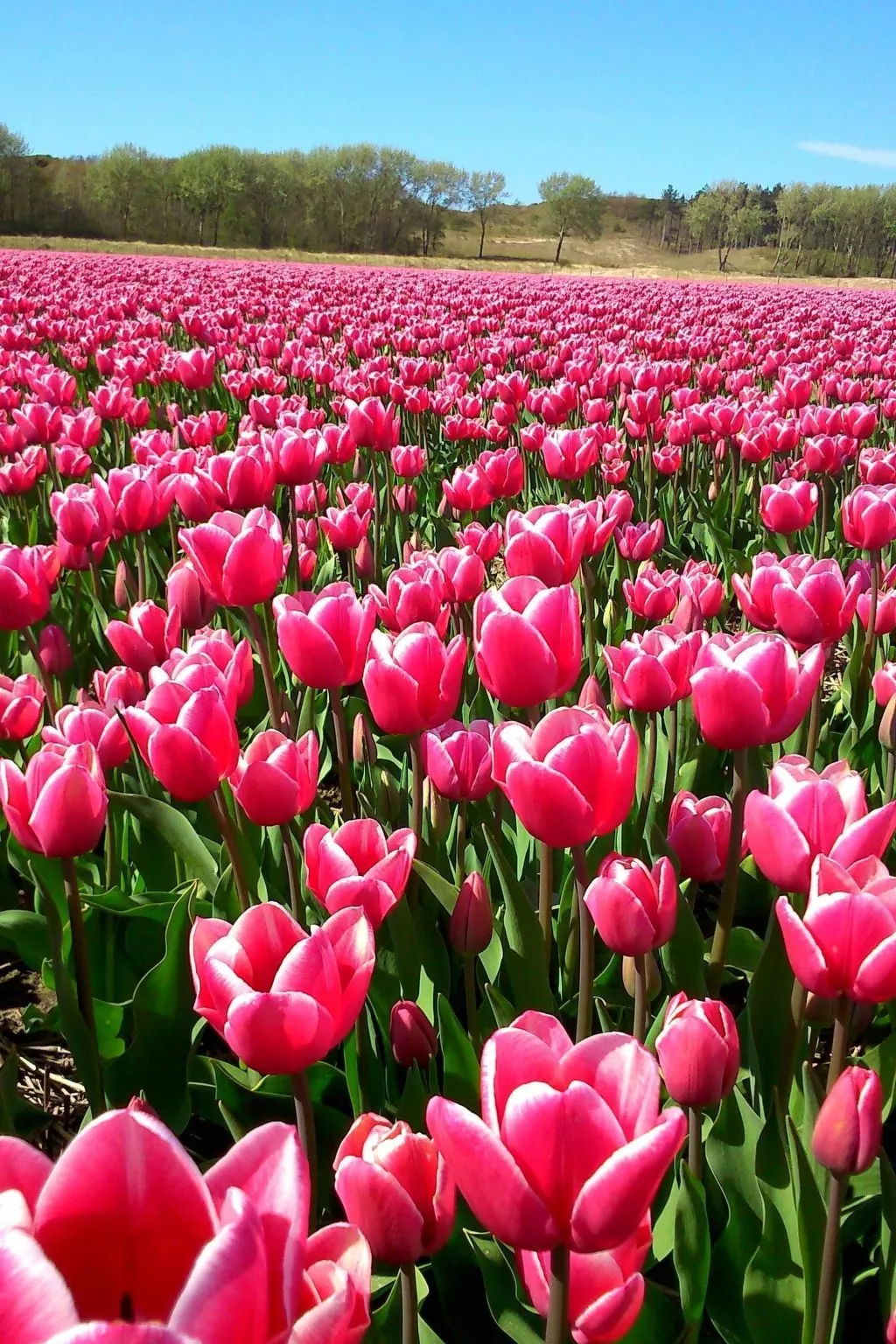 "Windhoos" mit privatem Garten und Terrasse-Outside