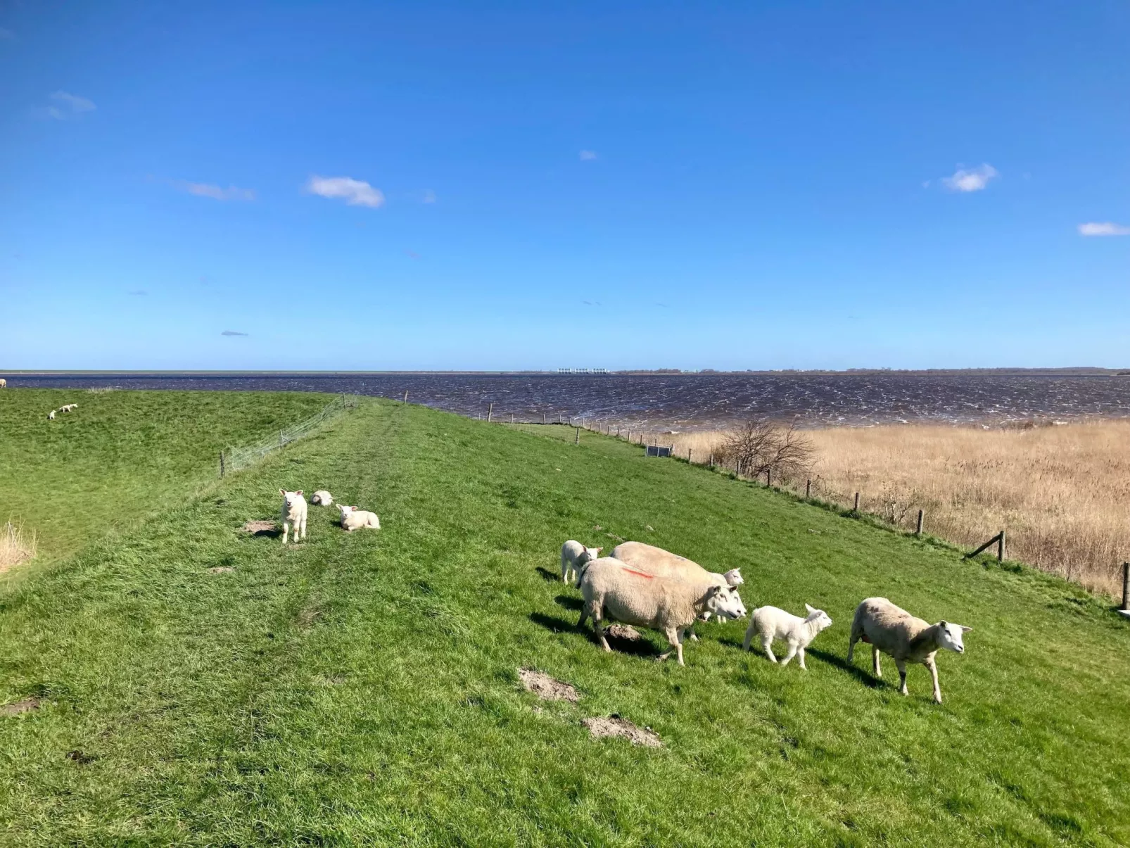 Haus Sonnenschein mit Blick auf das Lauwersmeer-Outside