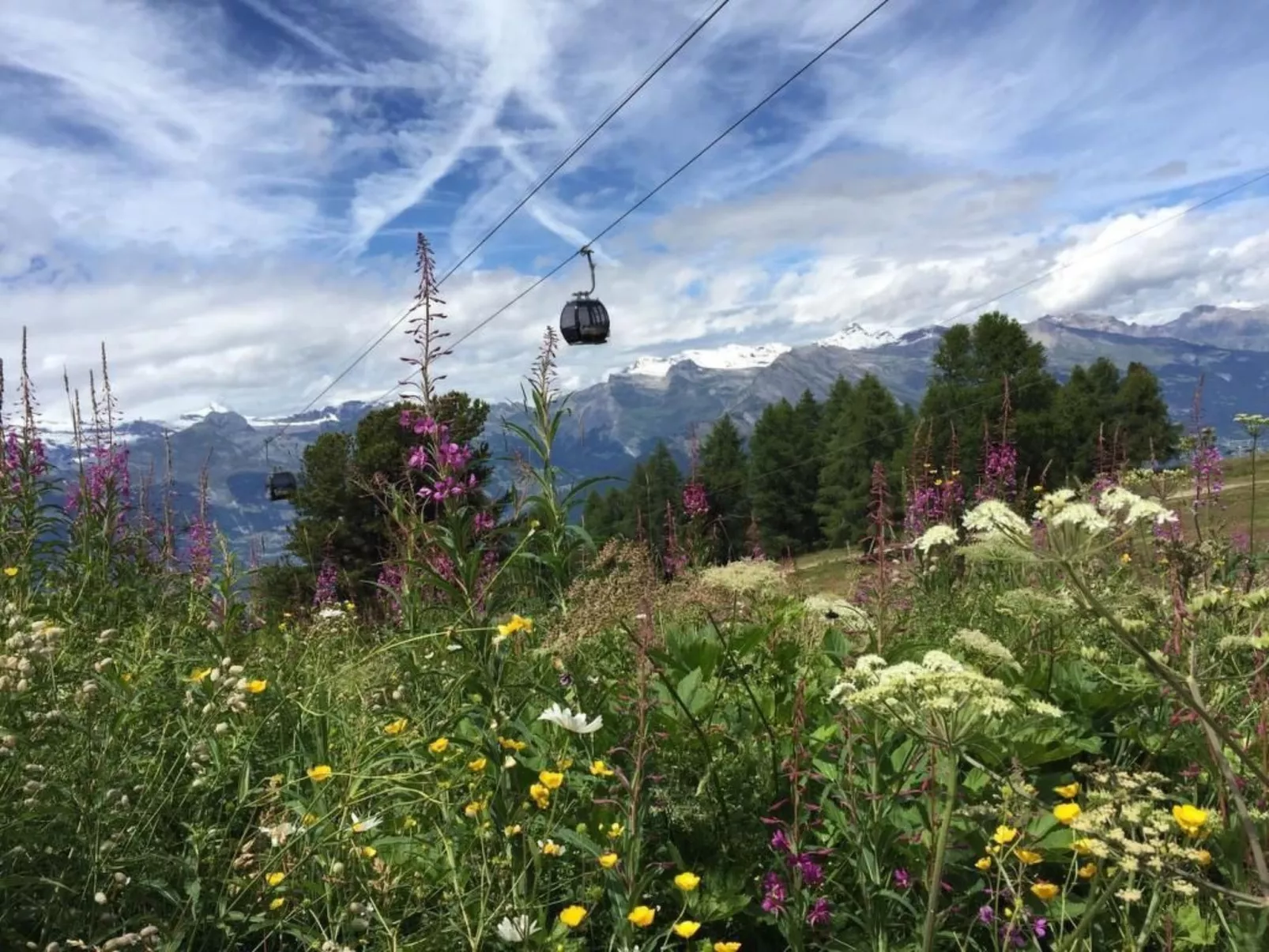 Fewo mit Blick auf die Berge-Dehors