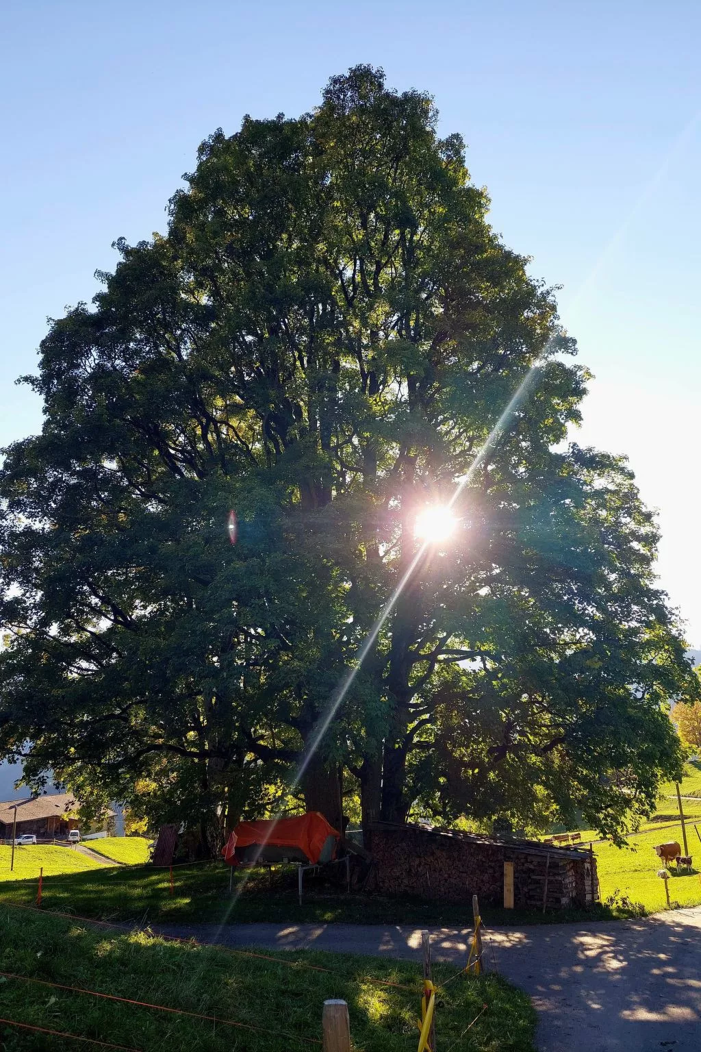 Mit Bergpanorama-Image-tags.info