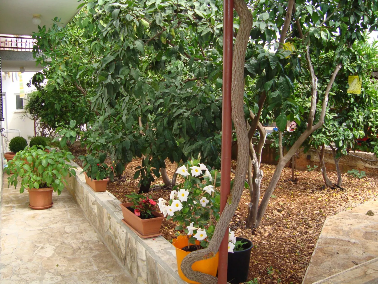 In Slatine mit Garten und Terrasse-Dehors