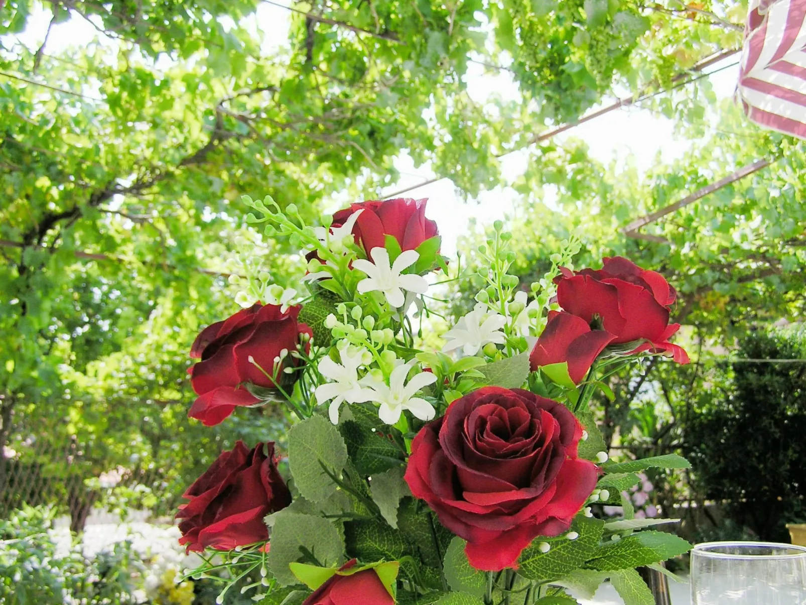 Holiday House Jure-Outside