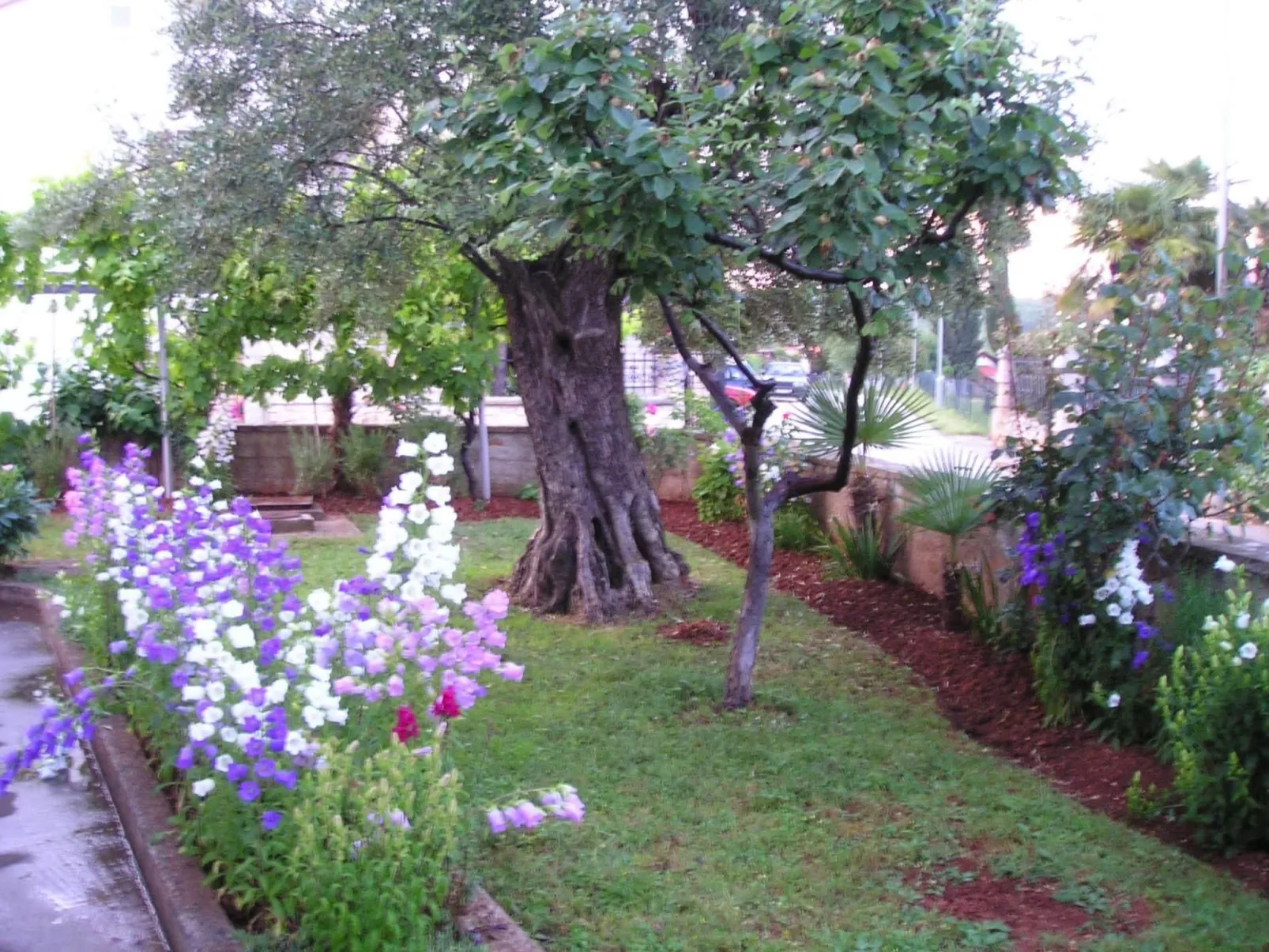 "Gemütlicher Garten" mit Terrasse-Draußen