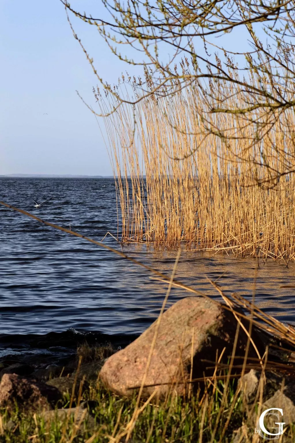 Am Apothekerberg-Draußen