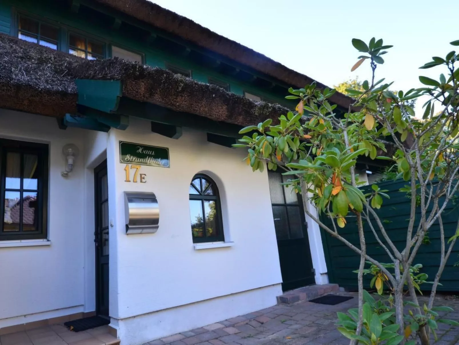 Haus Strandflieder-Dehors