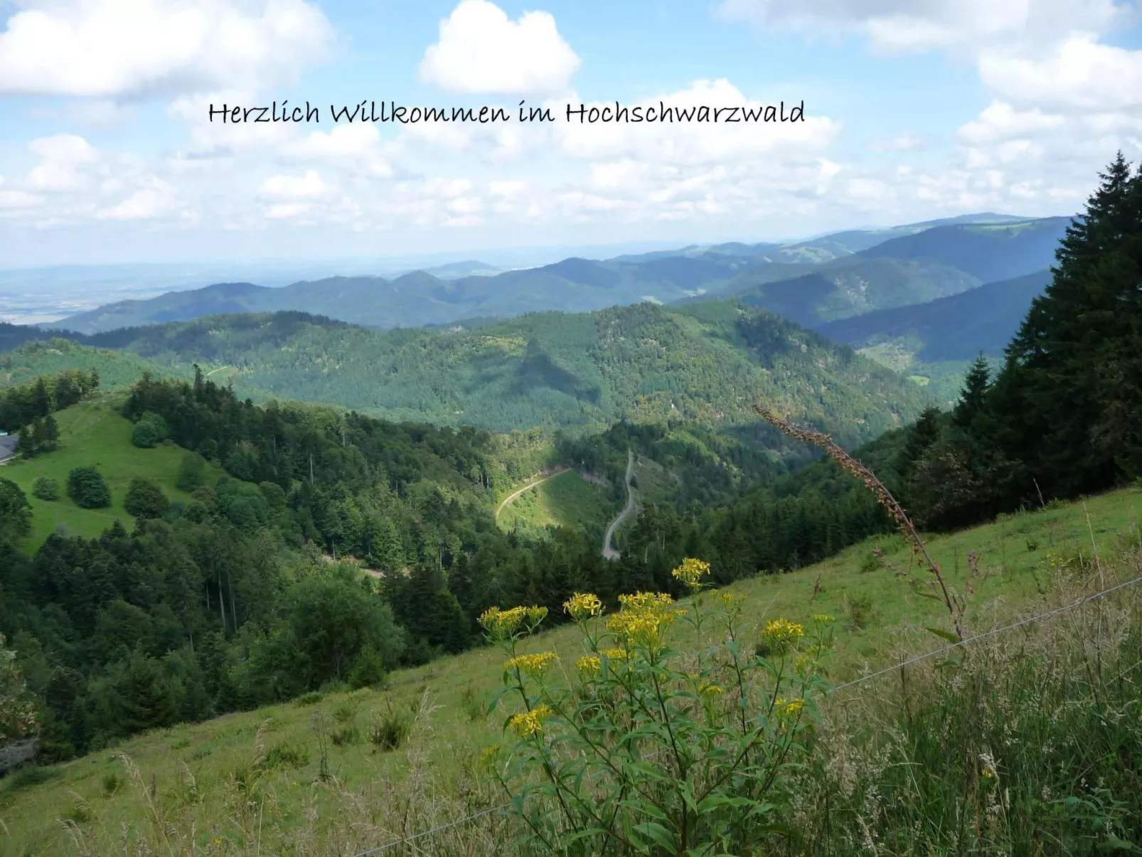 Elfi-Image-tags.info