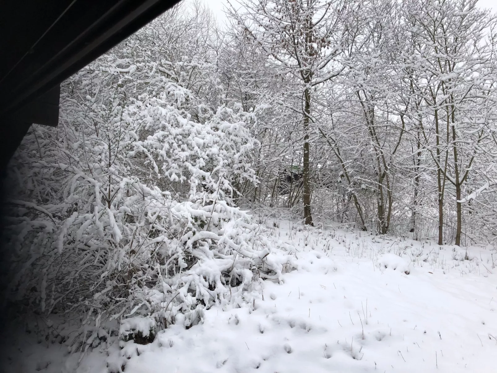 Wunderschönes Ferienhaus am Waldrand-Outside