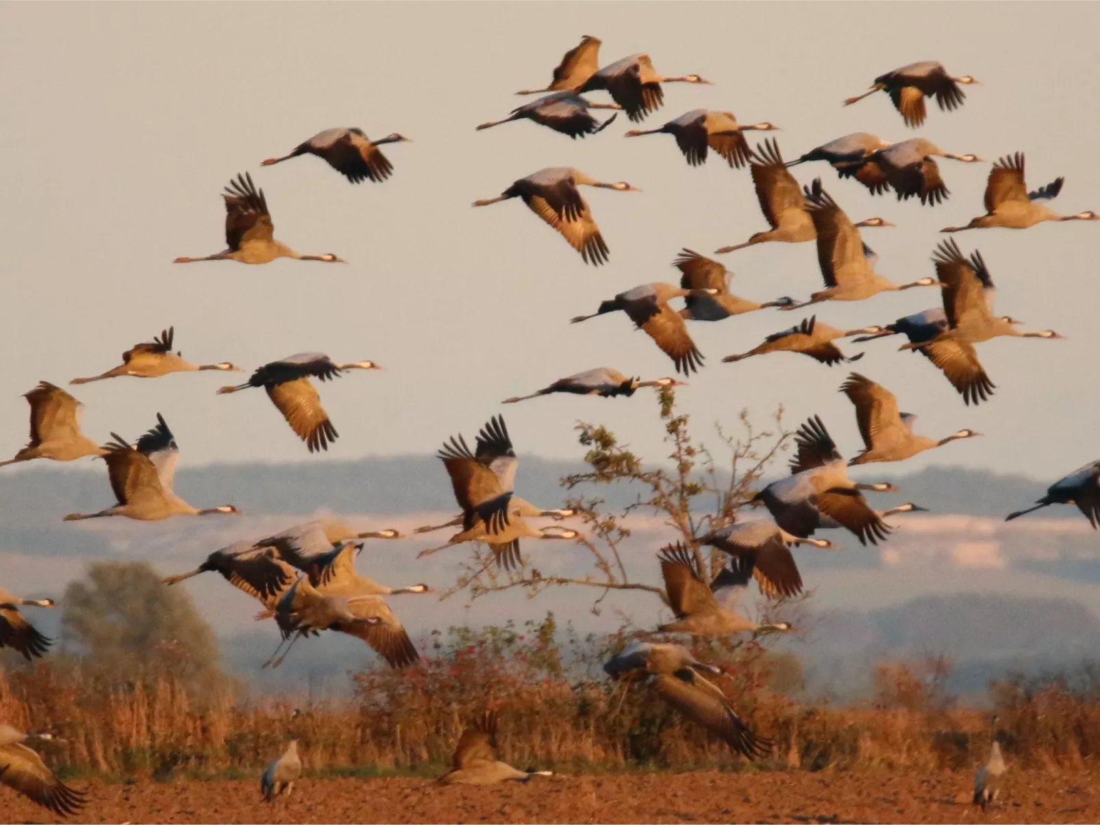 Meeresblickpanorama-Dehors