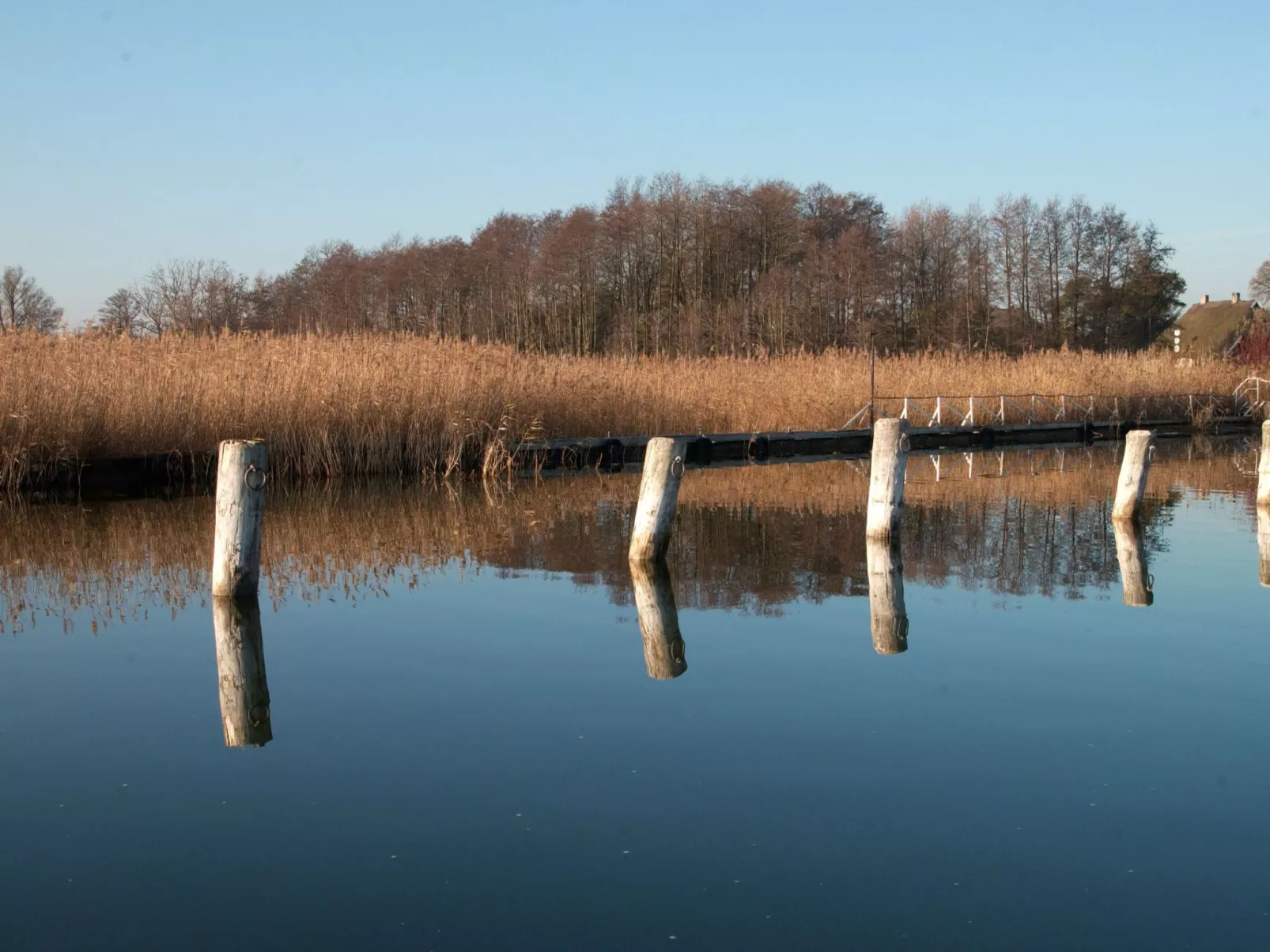 Admiral's Cor. Gulet-Draußen