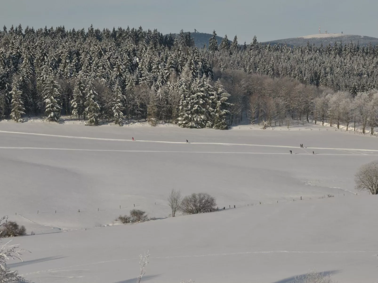 Wohnung in Hohegeiß mit Grill und Garten-Draußen