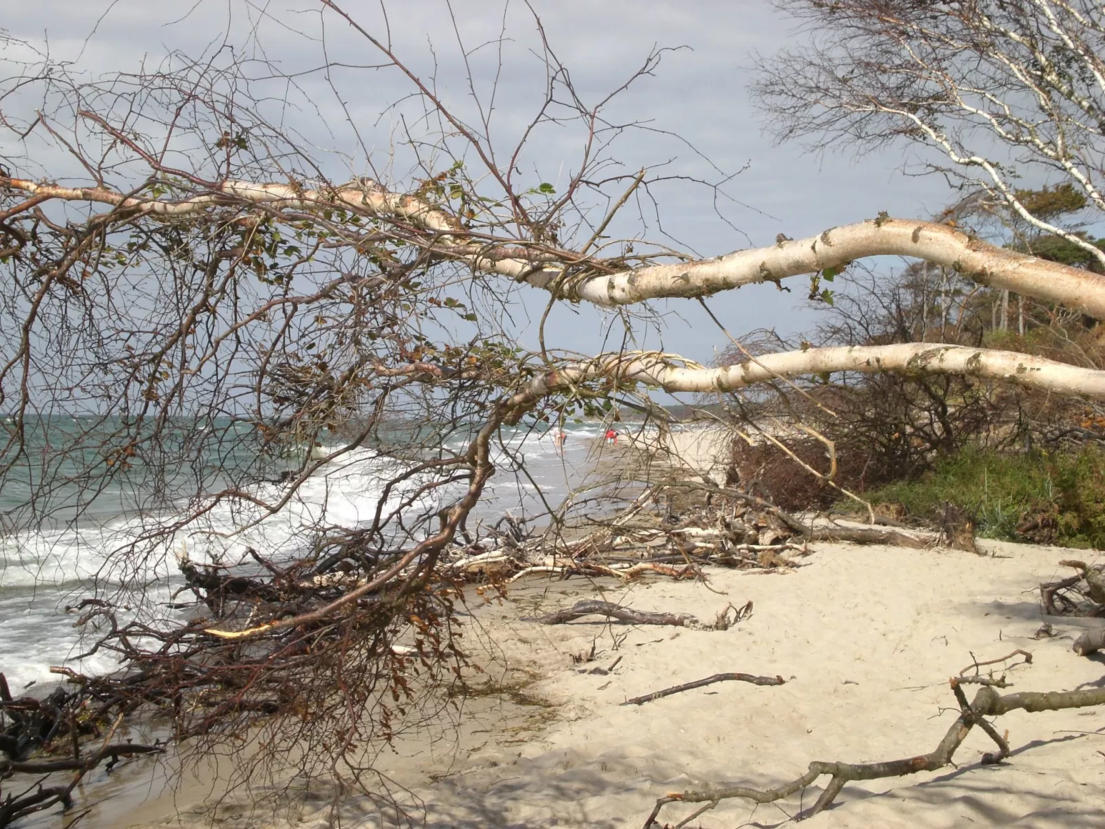 Appartement Achtern-Diek-am-Strand in Zingst-Draußen