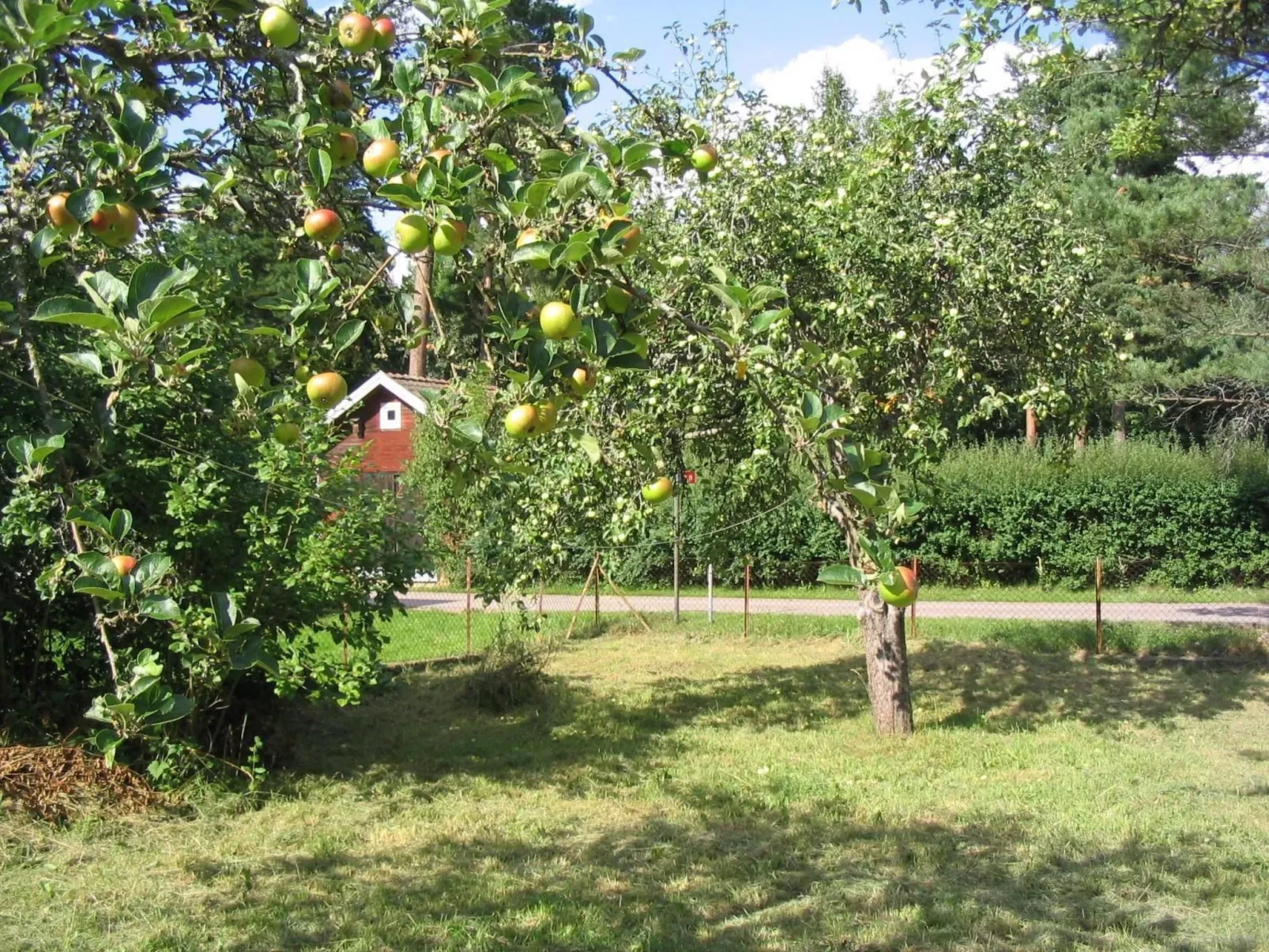 Mit Sauna und Kaminofen sowie Terrasse-Image-tags.info