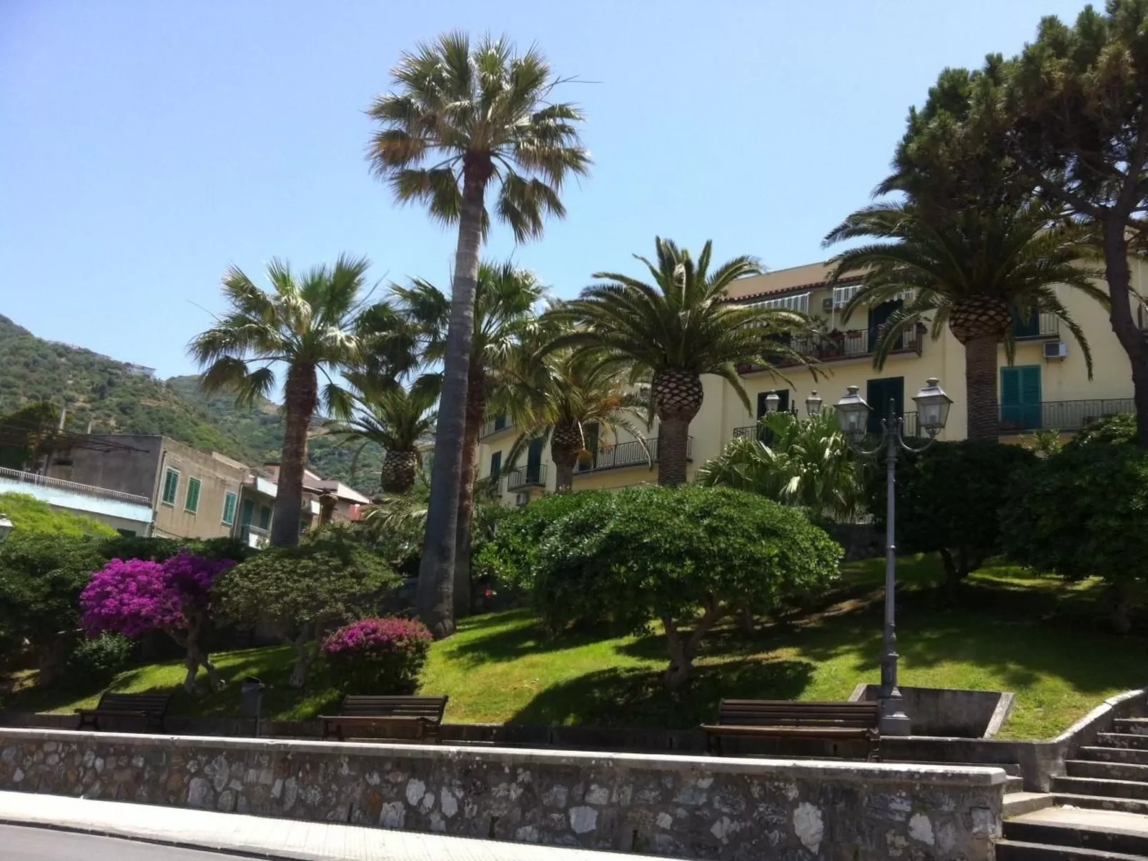 Flacher Kirschbaum-Image-tags.info