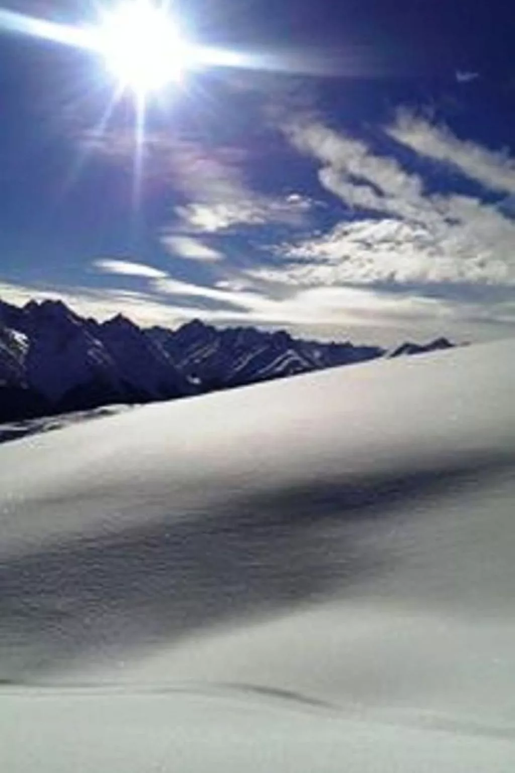 Alvetern Marmotta-Image-tags.info