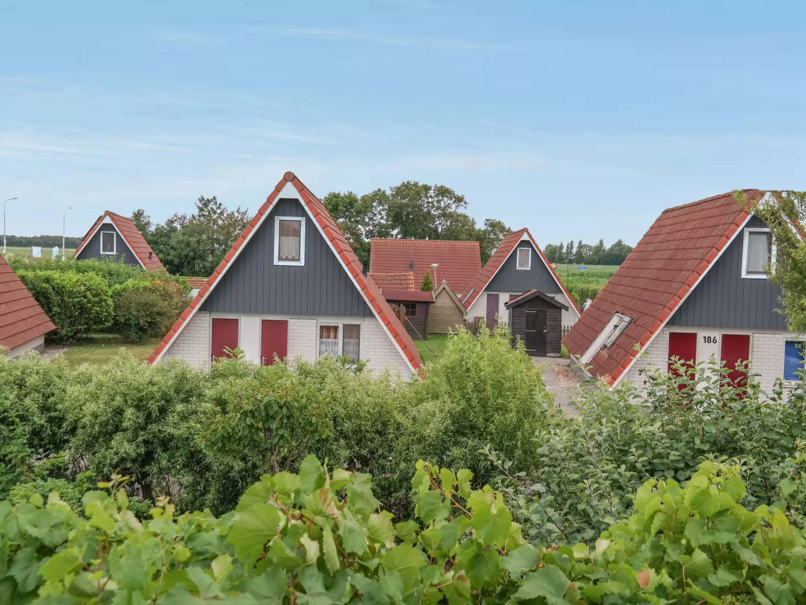 182 De Druif-Draußen