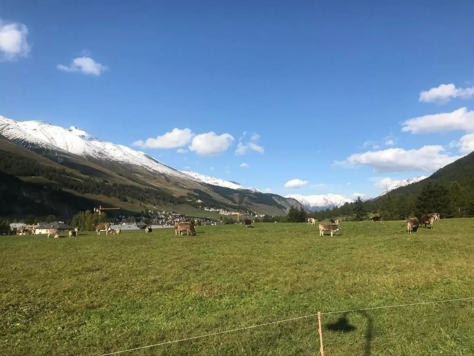 Engadin 2 1/2 Zi-Wg-Dehors