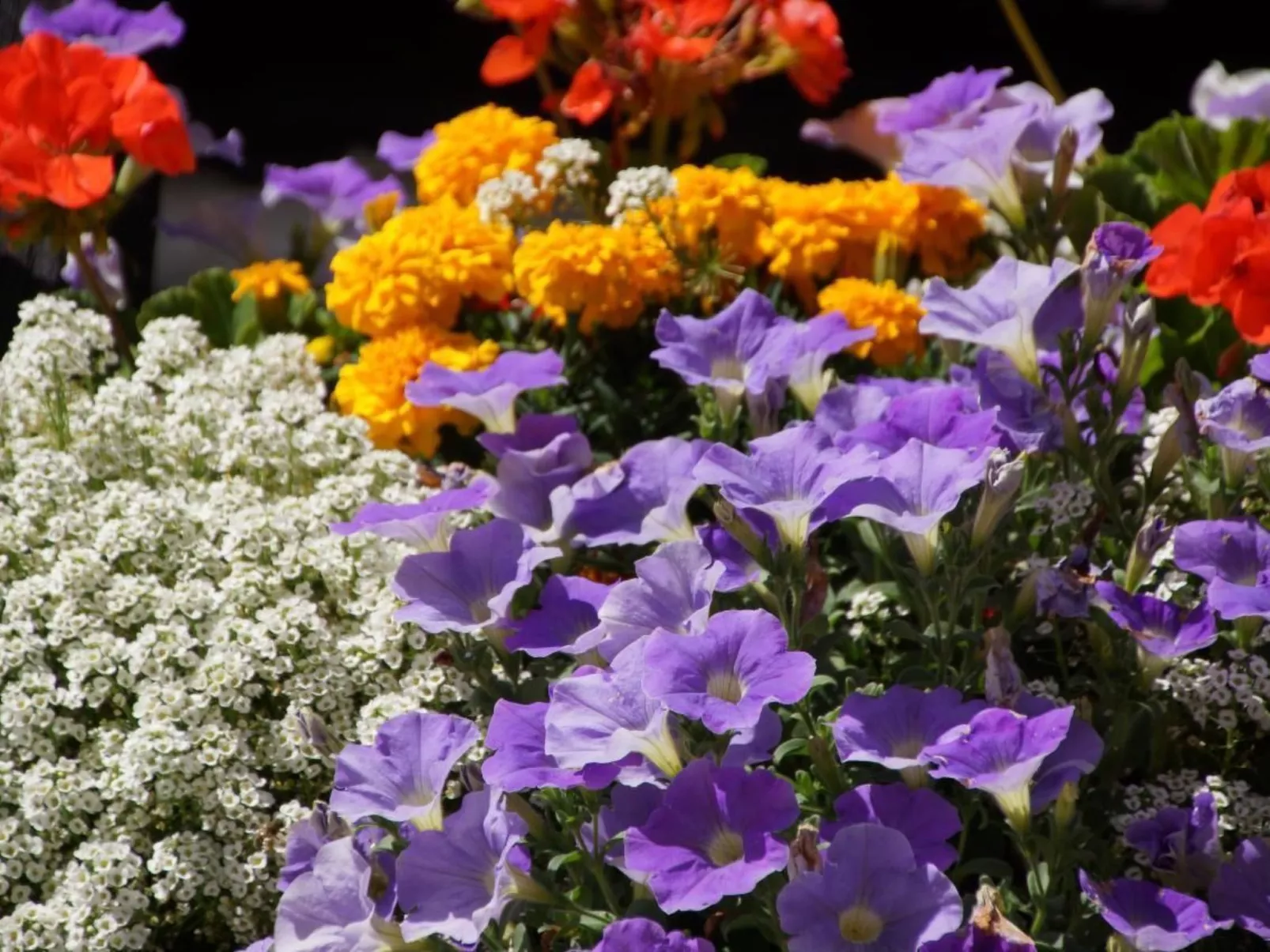 Mountain view-Draußen