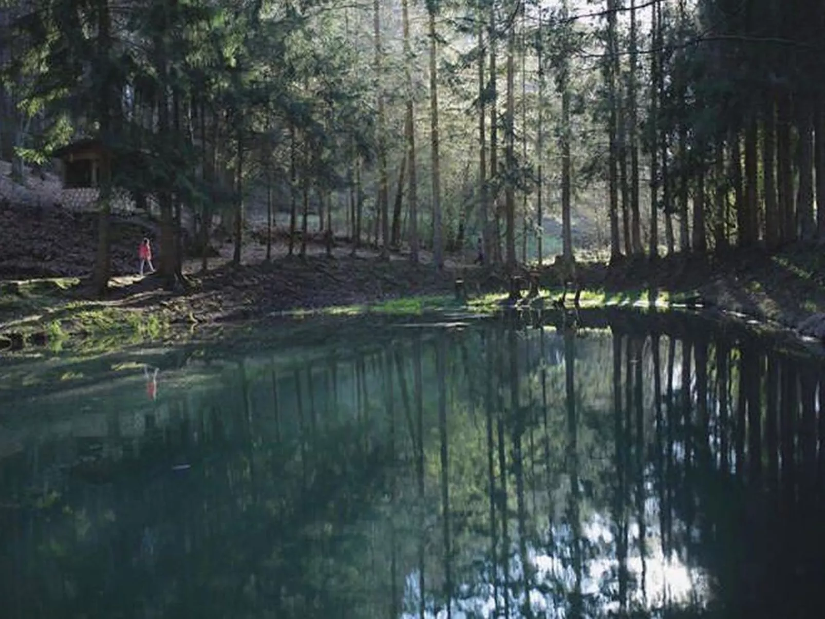 BärenNest Haus-Draußen