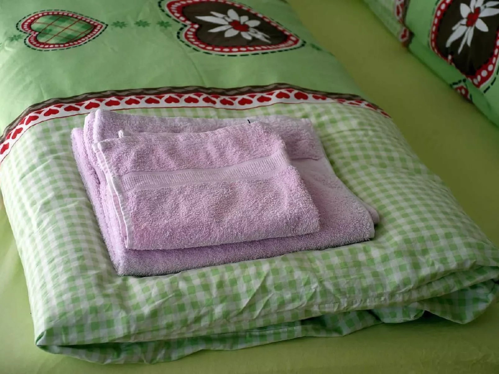 Resi Fewo Bernina-Inside