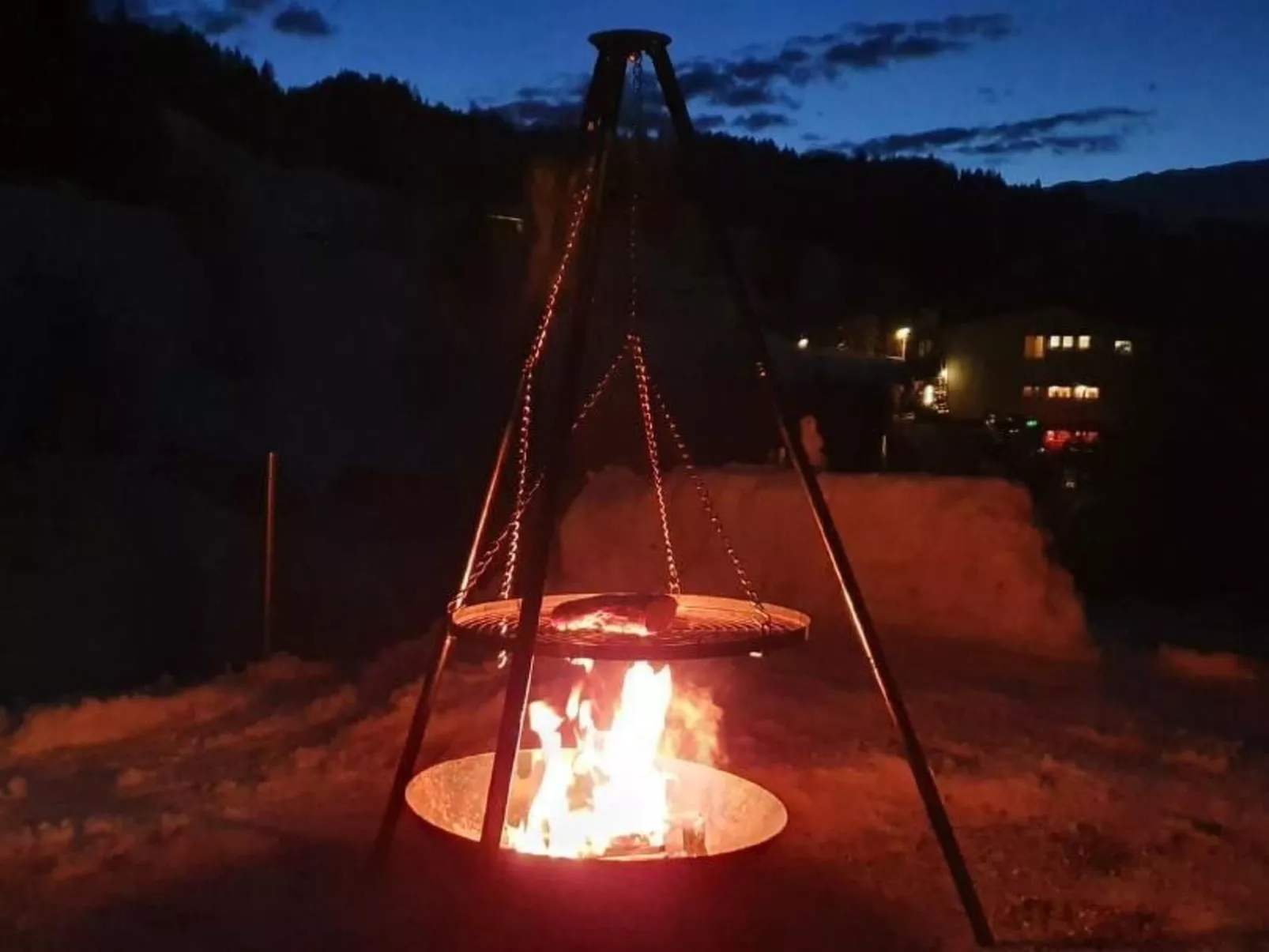 Kolibri Hochparterre-Image-tags.info