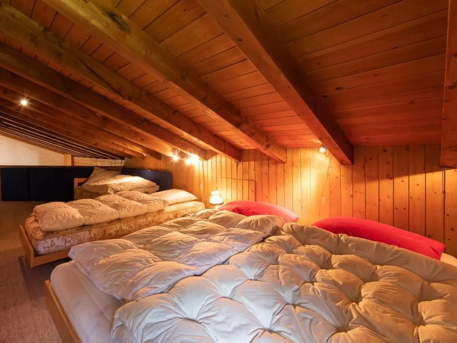 Wohnung geiger-Dedans