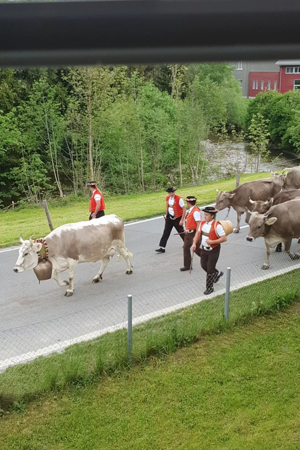 Bergsicht-Image-tags.info