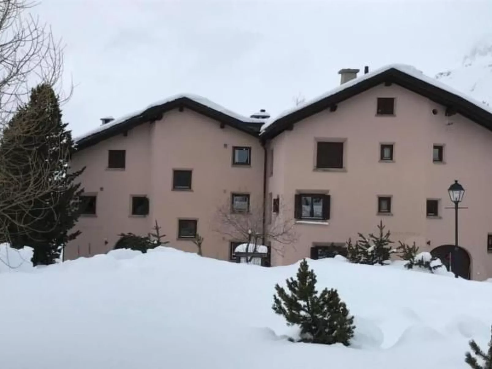 Chesa Arnica 3-Image-tags.info