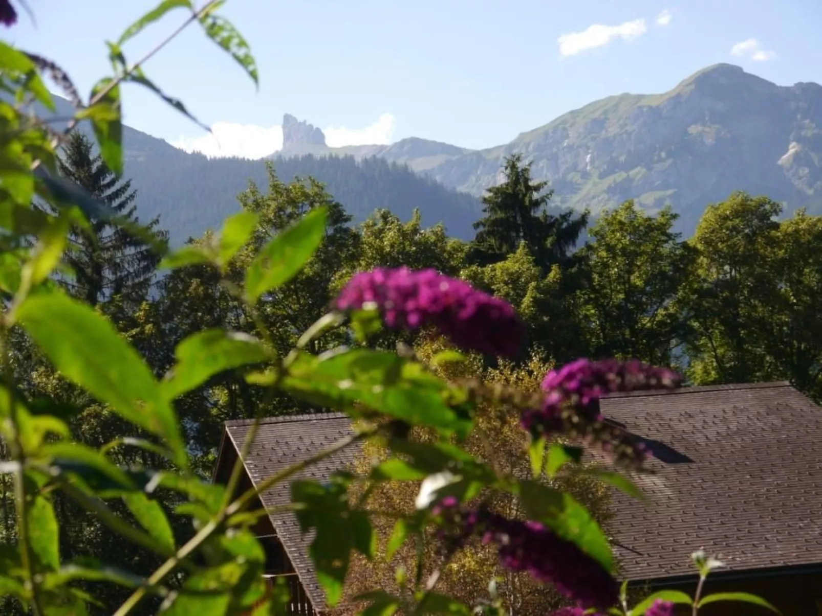 Chalet Birkli-Image-tags.info