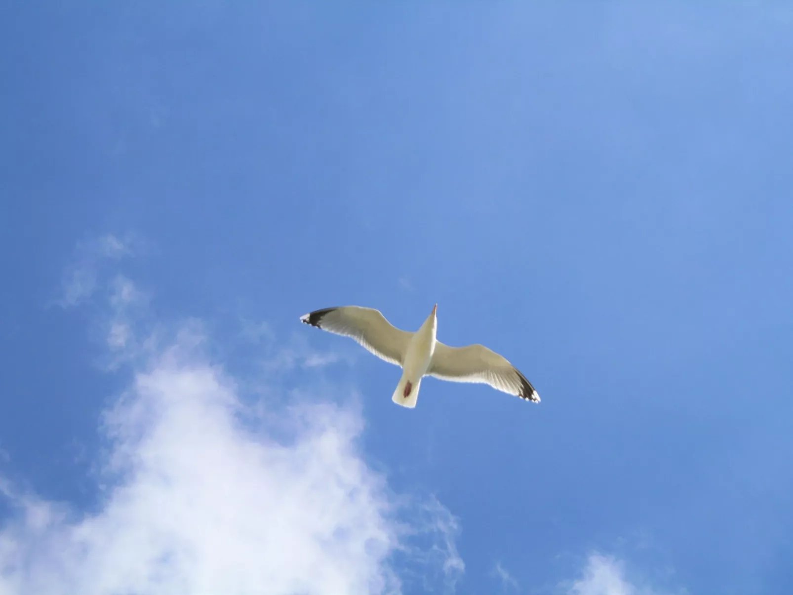 In Pilsum mit Großem Garten-Outside
