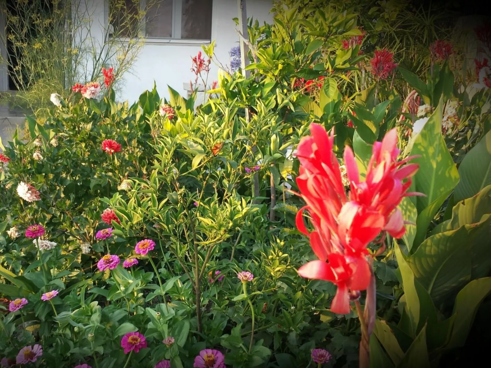 Unabhaengige Ferienwohnung in Sumartin mit Grill-Outside