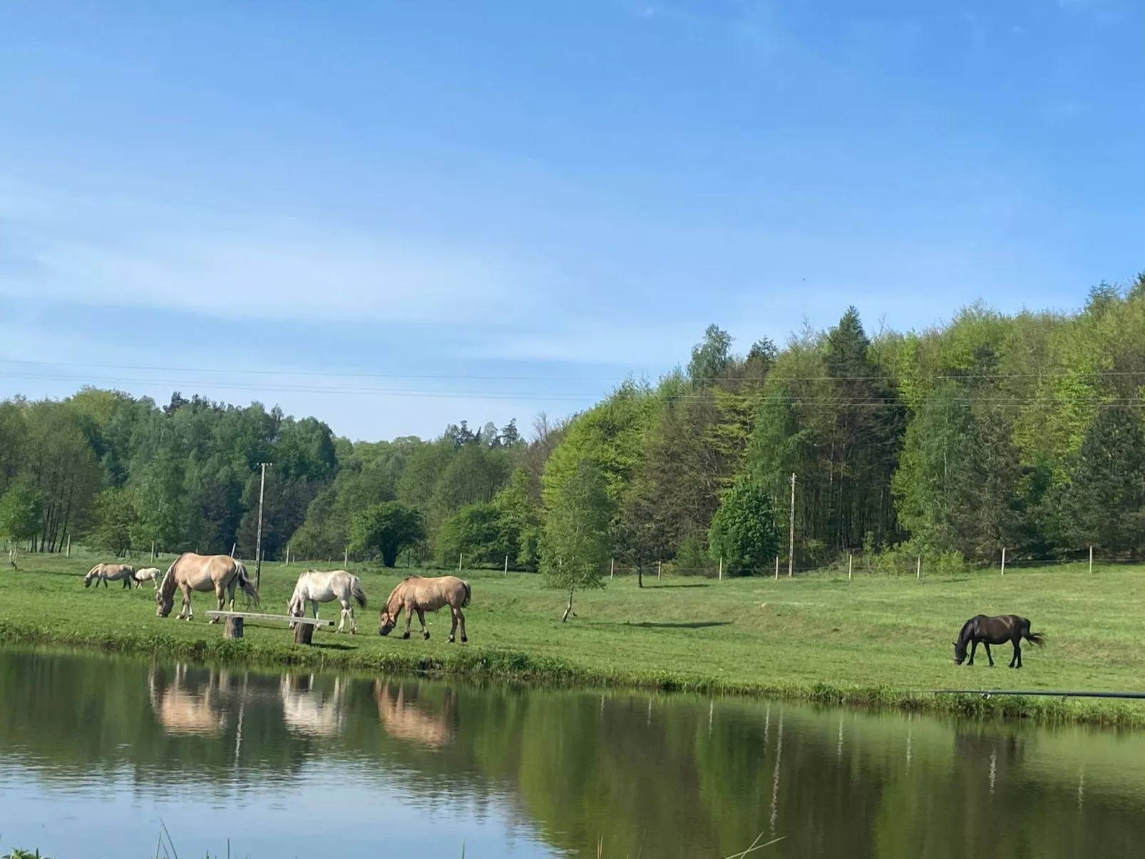 Alte Dorfschule-Draußen