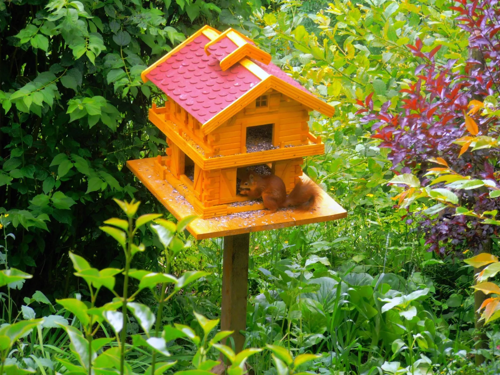 Harz-Haus-Bruns-Draußen