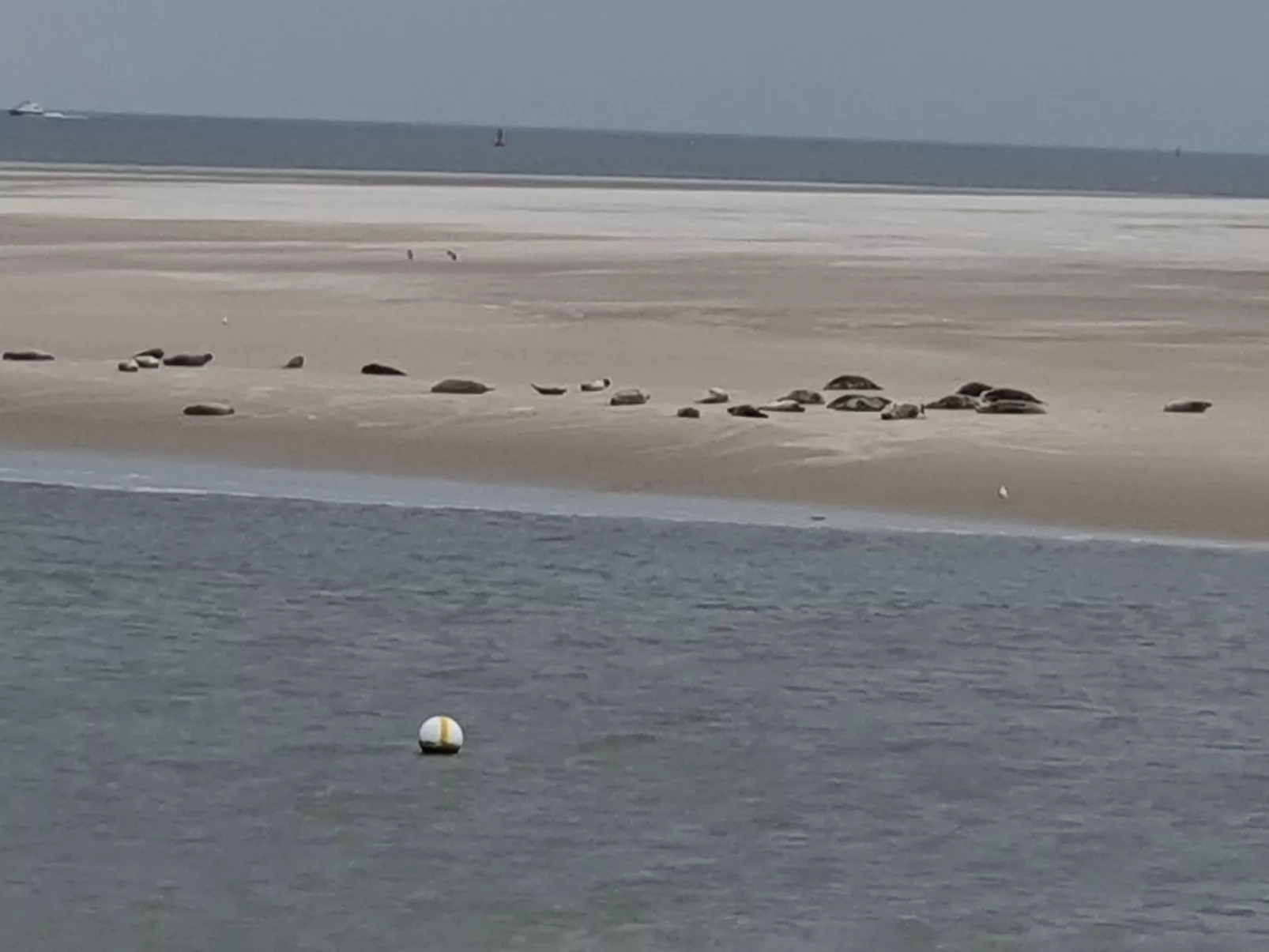 Apartment mit Terrasse am Südstrand-Inside