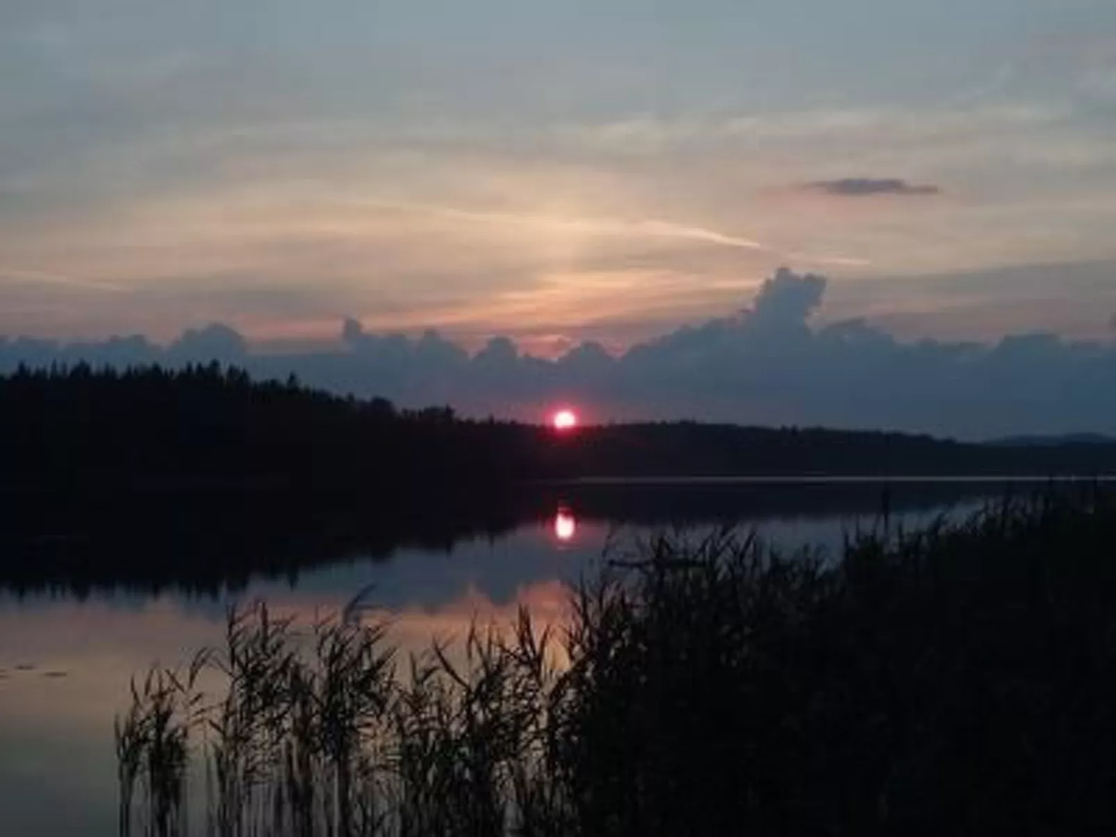 Charmantes Holzferienhaus mit Sauna-Outside