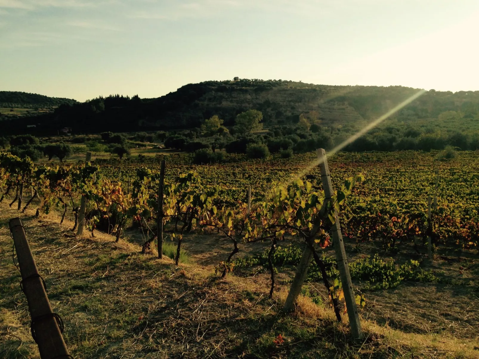 In Badolato Marina-Draußen