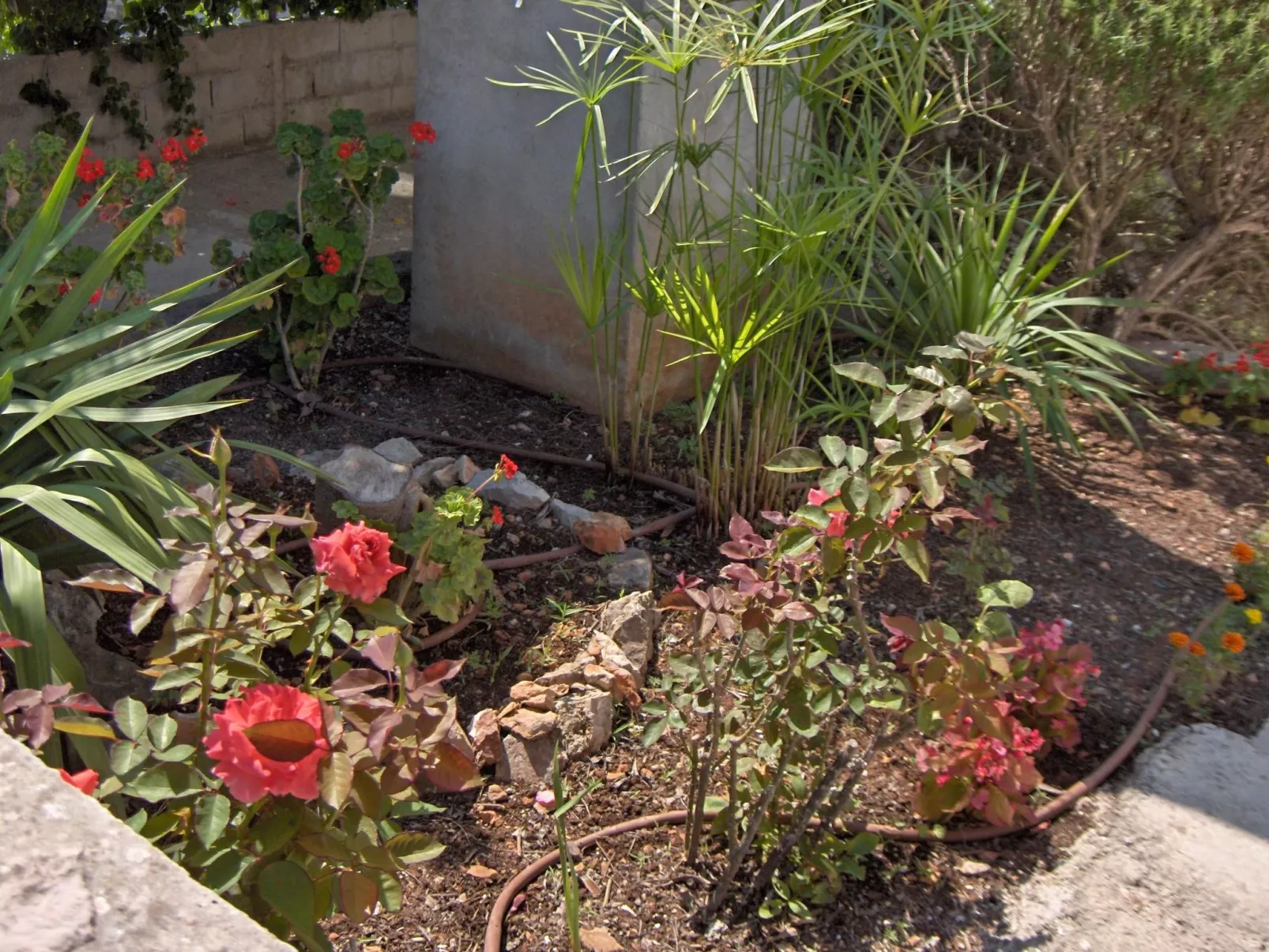 In Stari Grad-Draußen