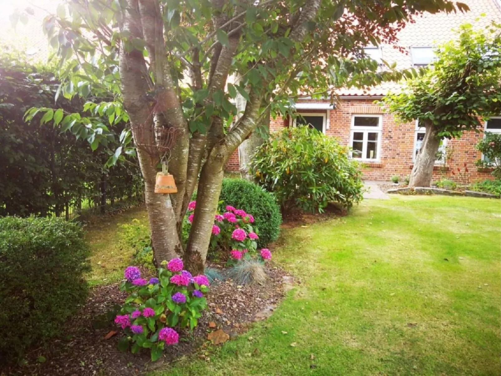 FeWo Nordnest-Draußen