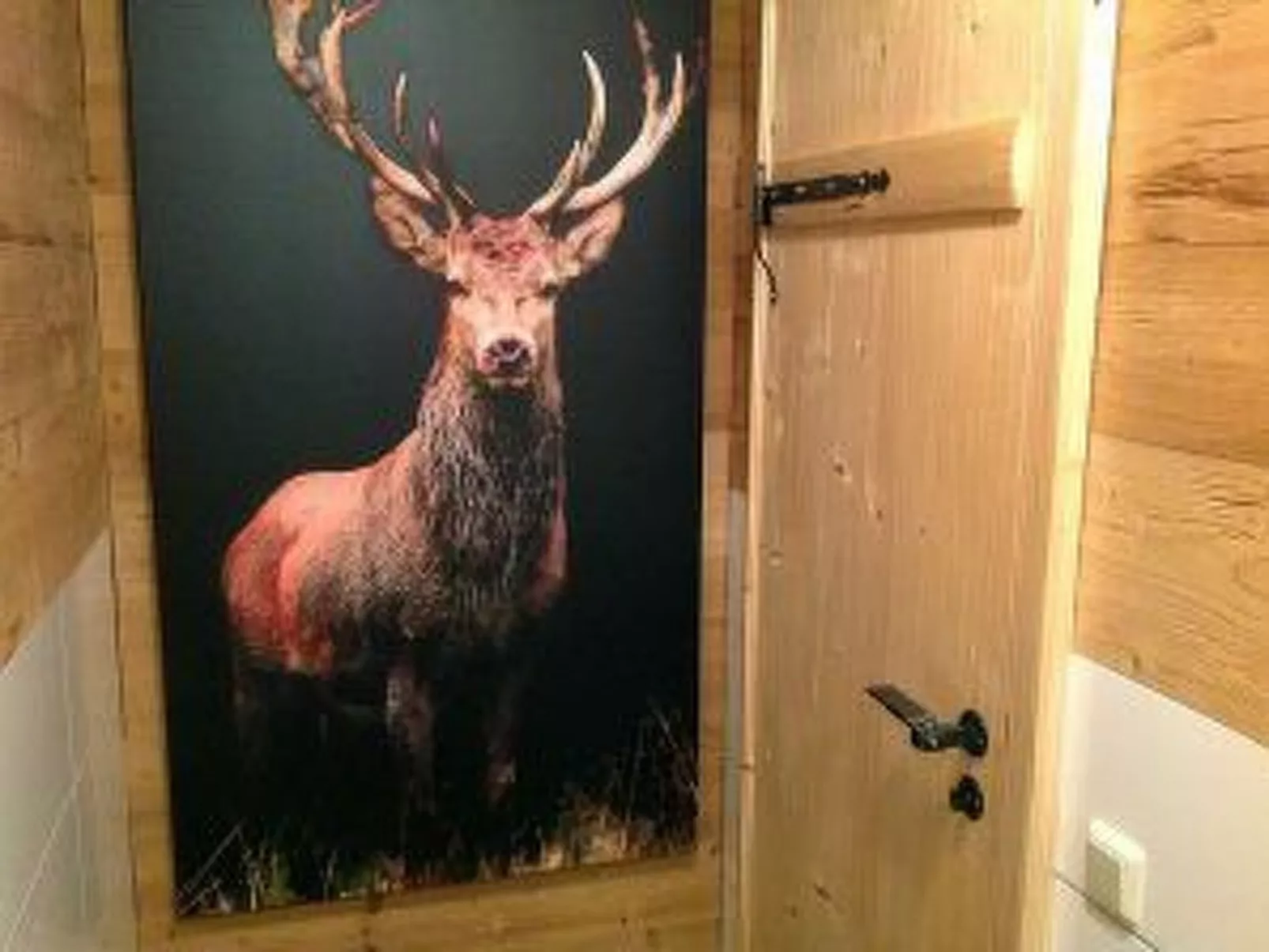 Urgemütliche Gruppenhütte mit Gartensauna-Dedans