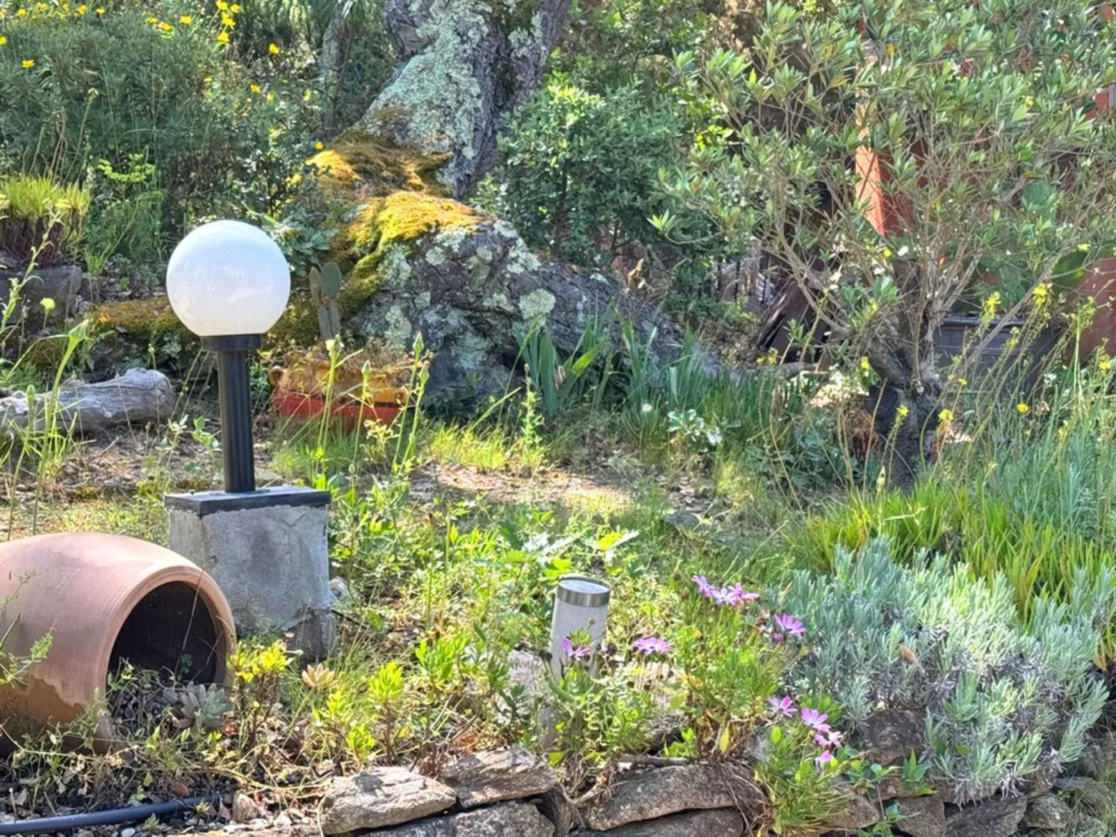 Schöne Villa mit innovativer Architektur in einem grünen Nest im Herzen des Mas-Drinnen