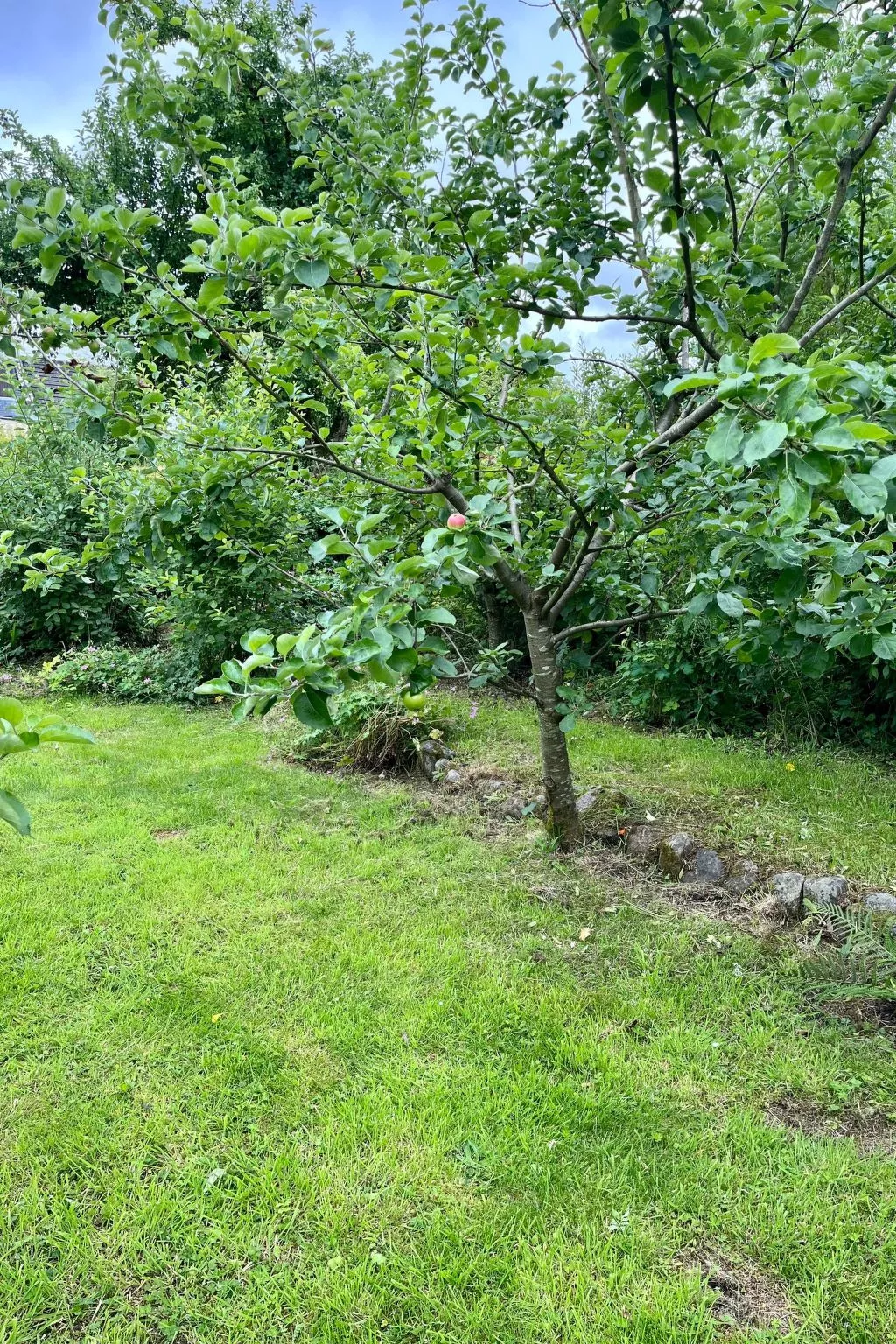 Apfel-Häuschen-Outside