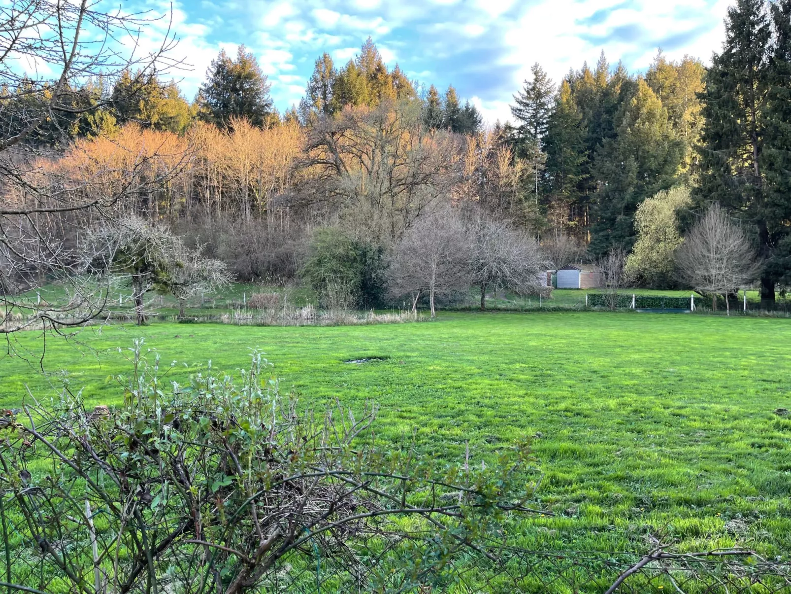 Für 6 Pers. mit eigenem Teich-Dehors