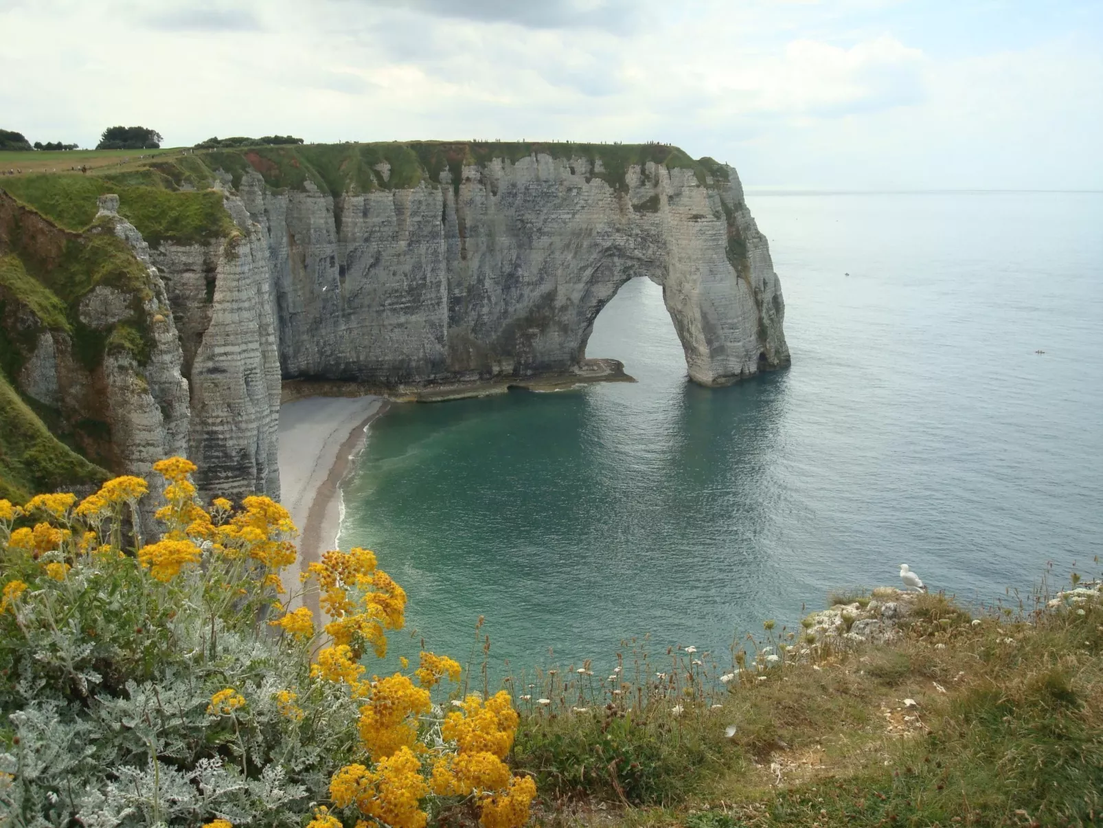 Le Clos du Hêtre-Dehors