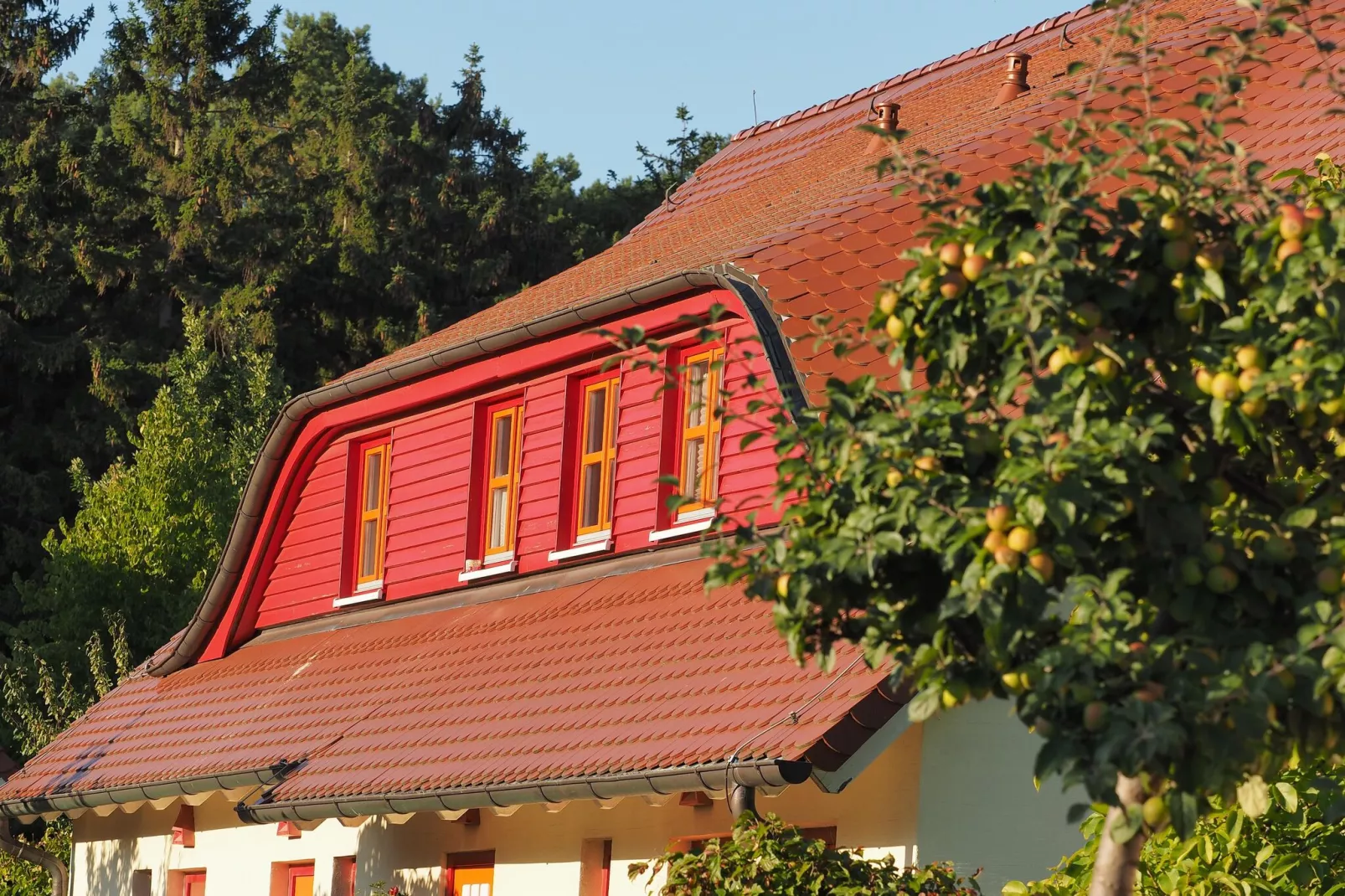 Typ E EG oder OG 4 Personen-Exterior summer