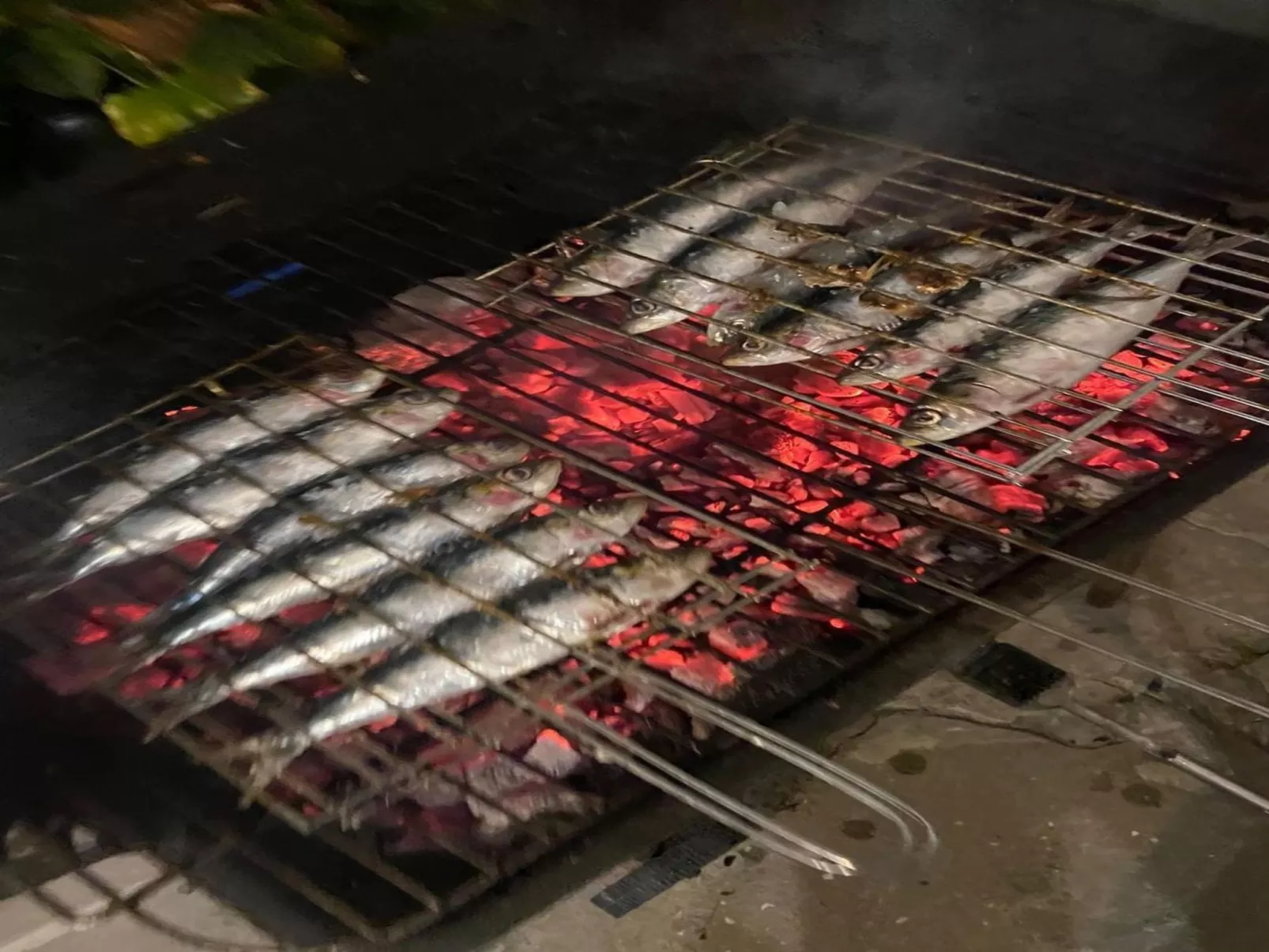 Großmutters Scheune-Draußen